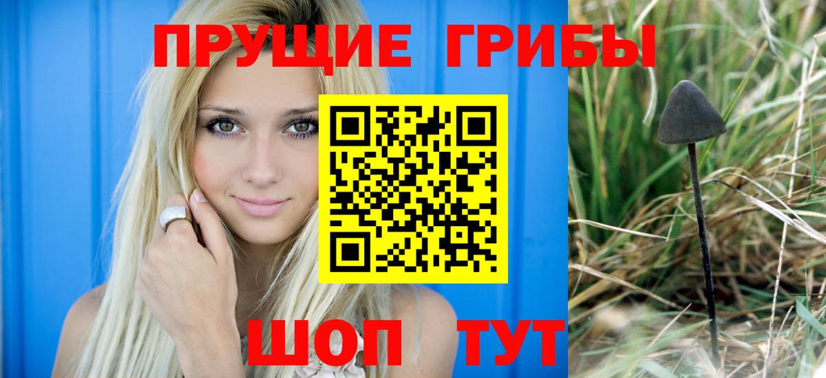 Галлюциногенные грибы GOLDEN TEACHER Верхняя Салда